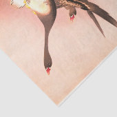 飛行中のゲーゼ日本のプリントティッシュペーパー 薄葉紙 (詳細)