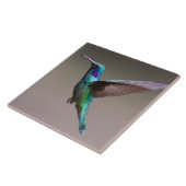 飛行中のゴージャスなハチドリ タイル (側面)