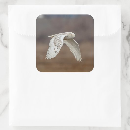 飛行中のスノーフクロウ スクエアシール (バッグ)