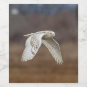 飛行中のスノーフクロウ ワインラベル (シングルラベル)