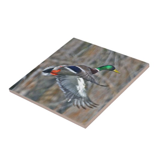 飛行中のドレークのマガモ タイル (側面)