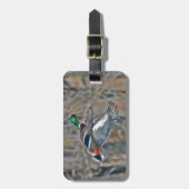 飛行中のドレークのマガモ ラゲッジタグ (正面縦)