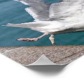 飛行中のニシンのカモメを閉める ポスター (角)