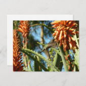 飛行中のハチドリ (正面/裏面)