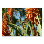 飛行中のハチドリ (正面横)