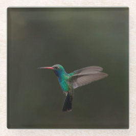 飛行中のハチドリ ガラスコースター