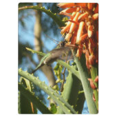 飛行中のハチドリ クリップボード (裏面)