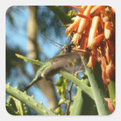 飛行中のハチドリ スクエアシール (正面)