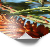 飛行中のハチドリ フォトプリント            (角)