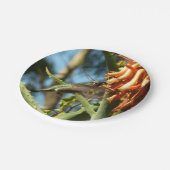 飛行中のハチドリ ペーパープレート (アングル)