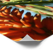 飛行中のハチドリ ポスター (角)