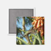 飛行中のハチドリ マグネット (正面/裏面)