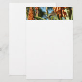 飛行中のハチドリ 便箋 (正面/裏面)