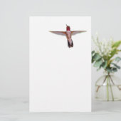飛行中のハチドリ 便箋 (スタンド正面)