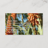 飛行中のハチドリ 名刺 (正面)