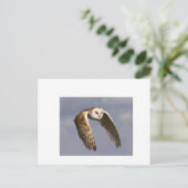 飛行中のバーンフクロウの小さな ポストカード (スタンド正面)