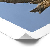 飛行中のブラウン・ペリカン ポスター (角)