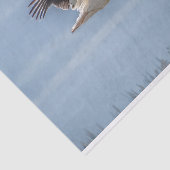 飛行中のペリカンのイメージを持つティッシュペーパー 薄葉紙 (詳細)