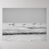 飛行中のペリカン ポスター (正面)