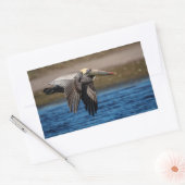 飛行中のペリカン 長方形シール (封筒)