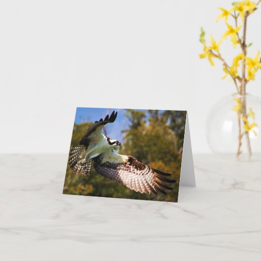 飛行中のミサゴ カード (黄色い花)