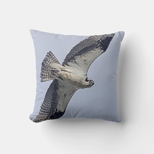 飛行中のミサゴ クッション (正面)