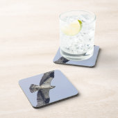 飛行中のミサゴ コースター (右側)