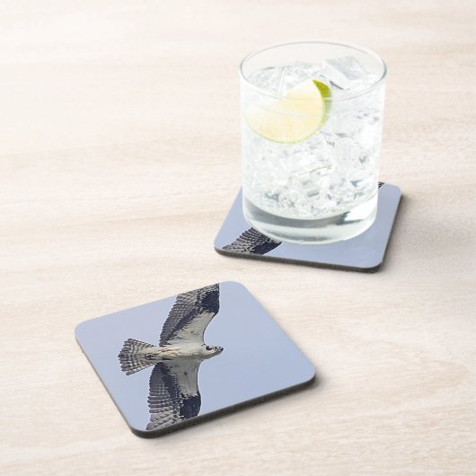 飛行中のミサゴ コースター (右側)