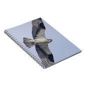 飛行中のミサゴ ノートブック (右側)