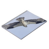 飛行中のミサゴ ノートブック (左側)
