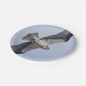 飛行中のミサゴ ペーパープレート (アングル)