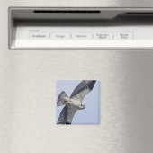 飛行中のミサゴ マグネット (インサイチュ (食洗機))