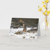 飛行中のワシミミズク カード (黄色い花)