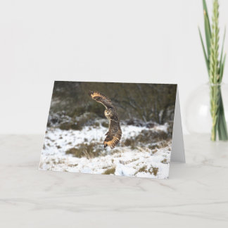 飛行中のワシミミズク カード