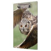 飛行中のワシミミズク クリップボード (左)