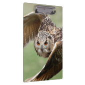 飛行中のワシミミズク クリップボード (右)