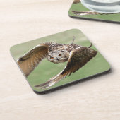 飛行中のワシミミズク コースター (左側)