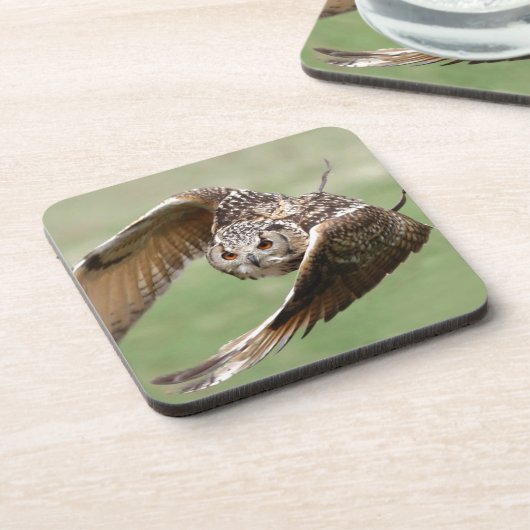 飛行中のワシミミズク コースター (左側)