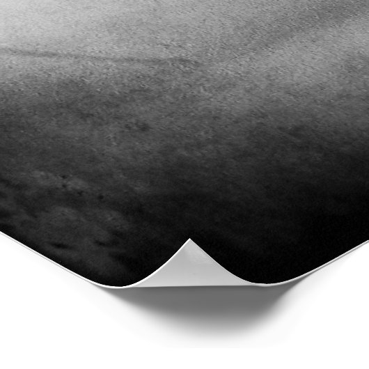 飛行中のワシ ポスター (角)