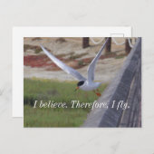 飛行中の信じ引用文 ポストカード (正面/裏面)