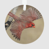 飛行中の北の(鳥)ショウジョウコウカンチョウ オーナメント (裏面)