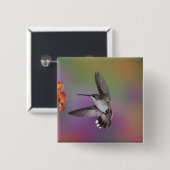 飛行中の女性ルビーの喉を切ったハミングバード 缶バッジ (正面&裏面)