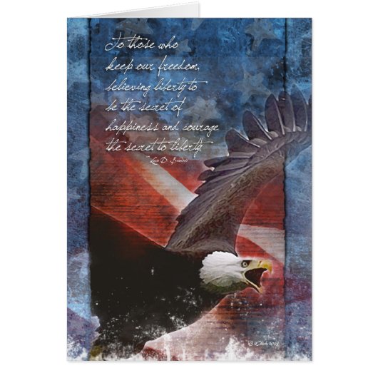 飛行中の愛国心の高いワシ (正面)