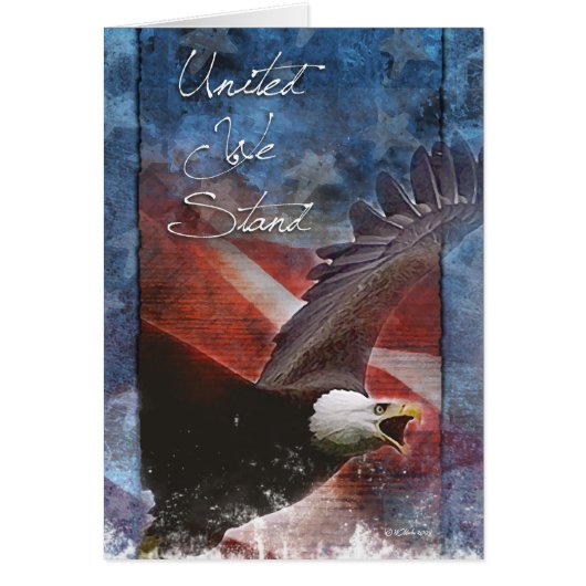 飛行中の愛国心の高いワシ (正面)