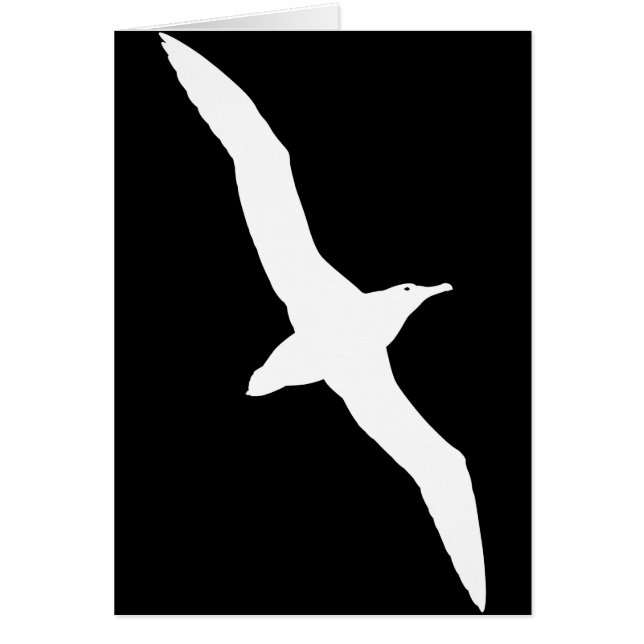 飛行中の白いアホウドリの鳥 (正面)