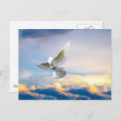 飛行中の白い鳩 ポストカード (正面/裏面)