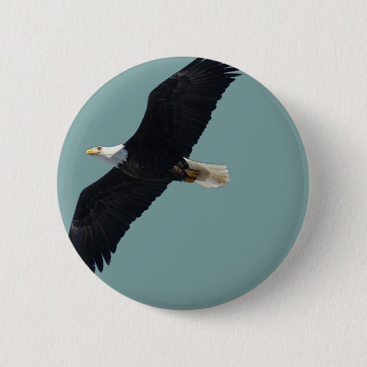飛行中の白頭鷲 缶バッジ (正面)