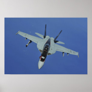飛行中の米国海軍F/A-18Fによってすごいスズメバチ ポスター