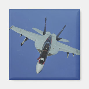 飛行中の米国海軍F/A-18Fによってすごいスズメバチ マグネット