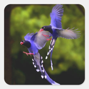 飛行中の美しい紫の鳥のシールセット スクエアシール